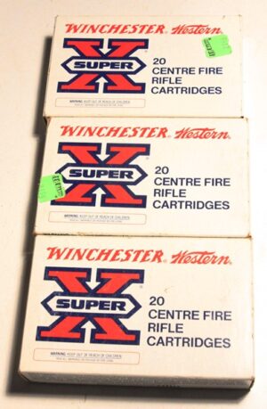 300 Winchester Magnum (60)